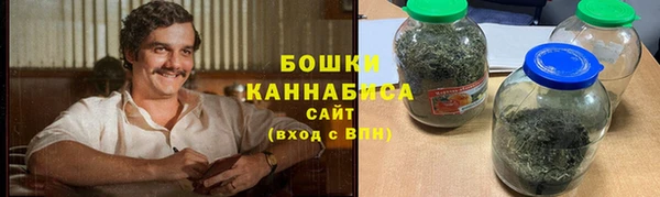 ГАЛЛЮЦИНОГЕННЫЕ ГРИБЫ Арсеньев