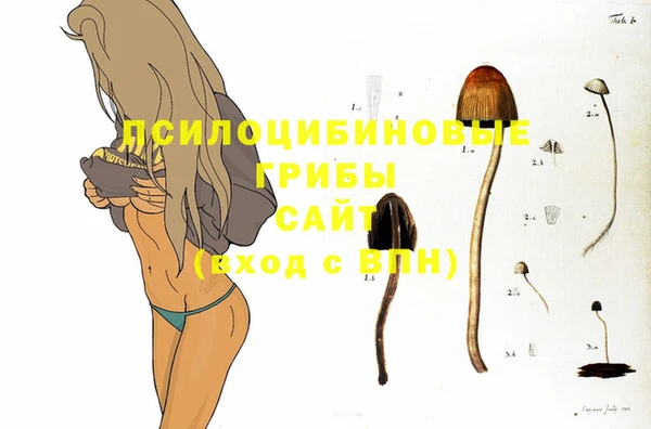 ГАЛЛЮЦИНОГЕННЫЕ ГРИБЫ Арсеньев