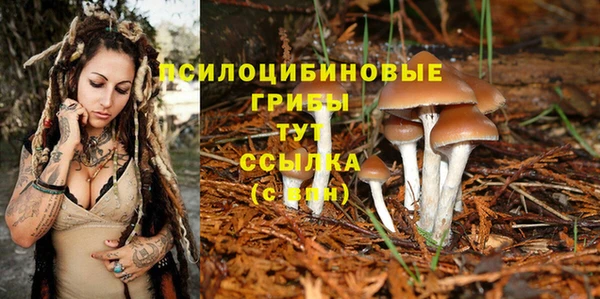 ПСИЛОЦИБИНОВЫЕ ГРИБЫ Армянск