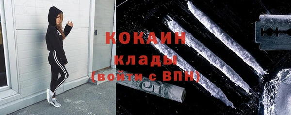 ГАЛЛЮЦИНОГЕННЫЕ ГРИБЫ Арсеньев