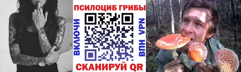 Галлюциногенные грибы GOLDEN TEACHER Пыталово