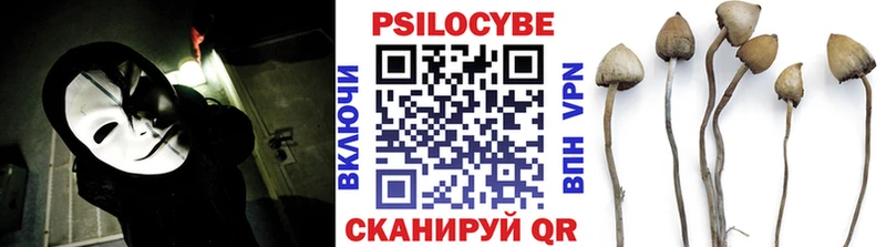 Псилоцибиновые грибы мухоморы  ссылка на мегу сайт  Пыталово 